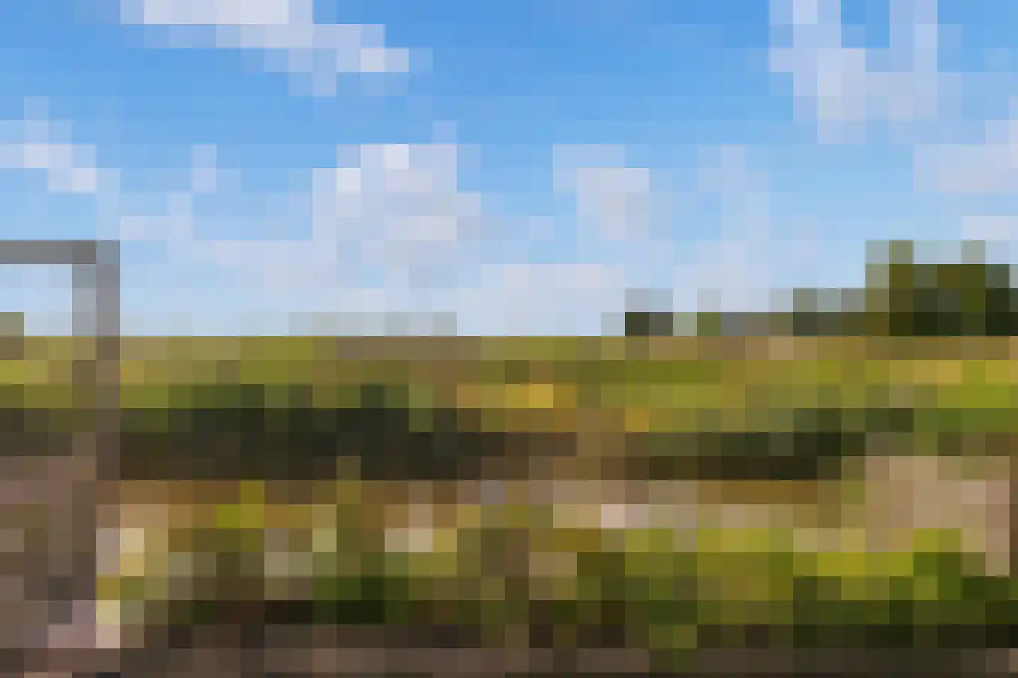 Sandwijck 5 Assendelft thumbnail 36