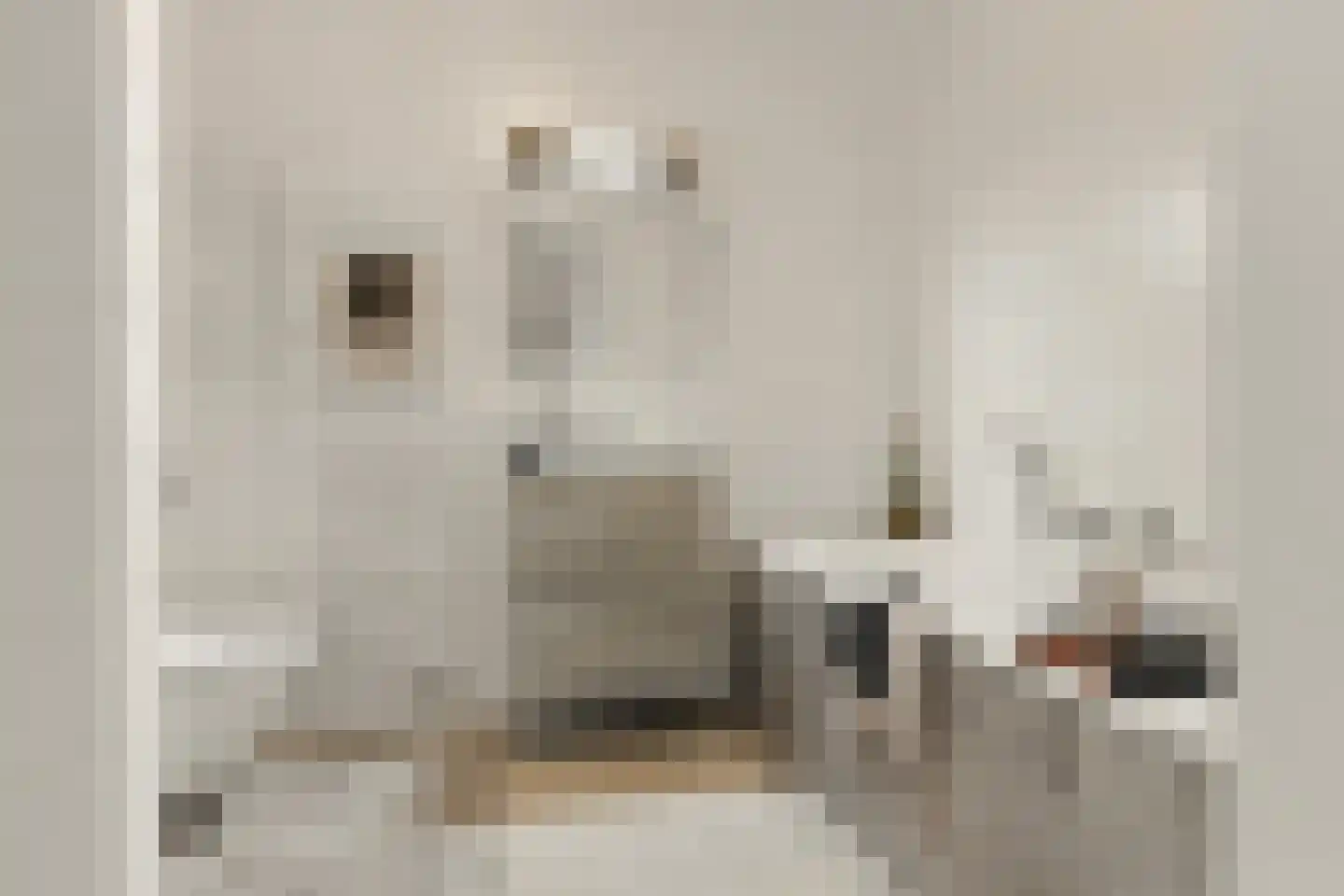 Sandwijck 5 Assendelft thumbnail 37
