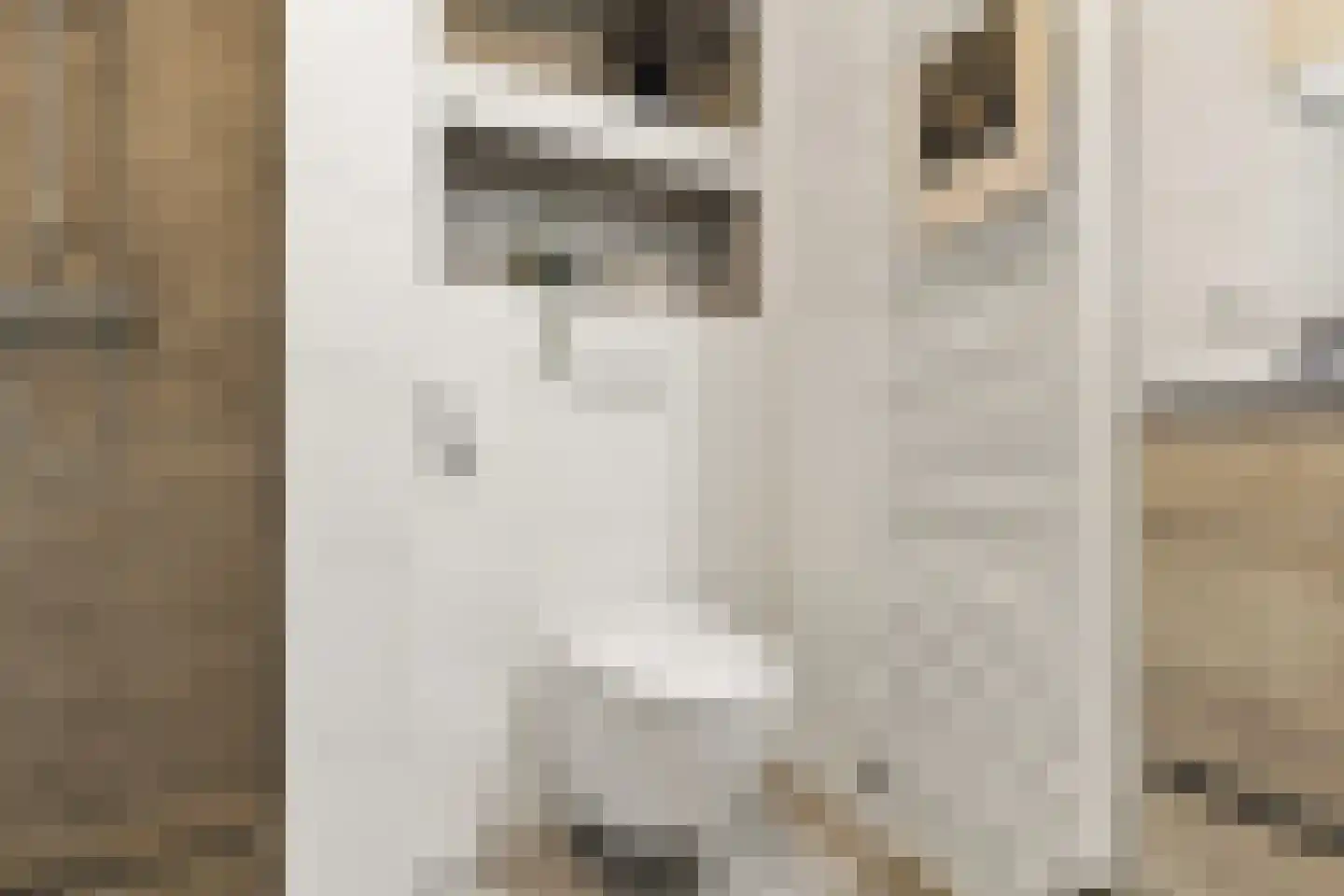 Sandwijck 5 Assendelft thumbnail 40