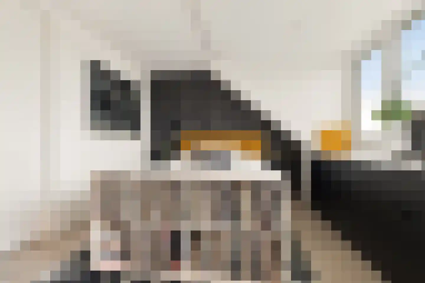 Sandwijck 5 Assendelft thumbnail 43