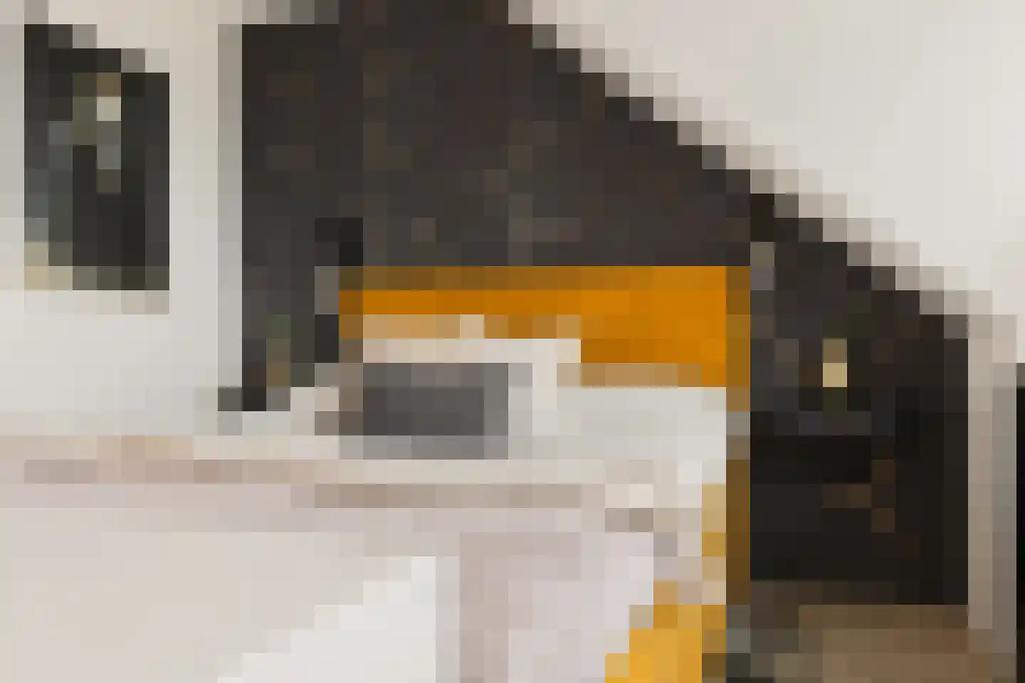 Sandwijck 5 Assendelft thumbnail 44