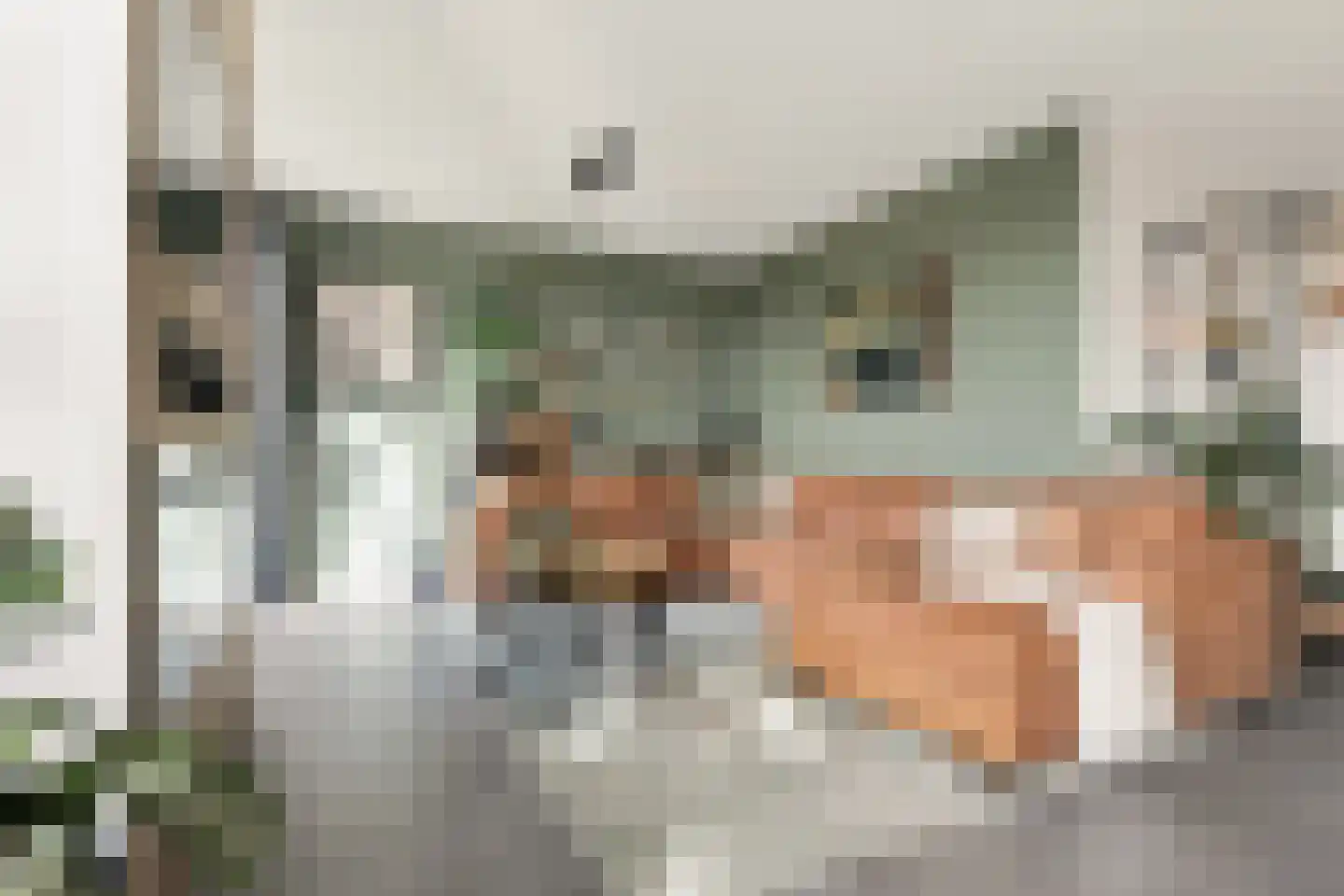 Sandwijck 5 Assendelft thumbnail 5