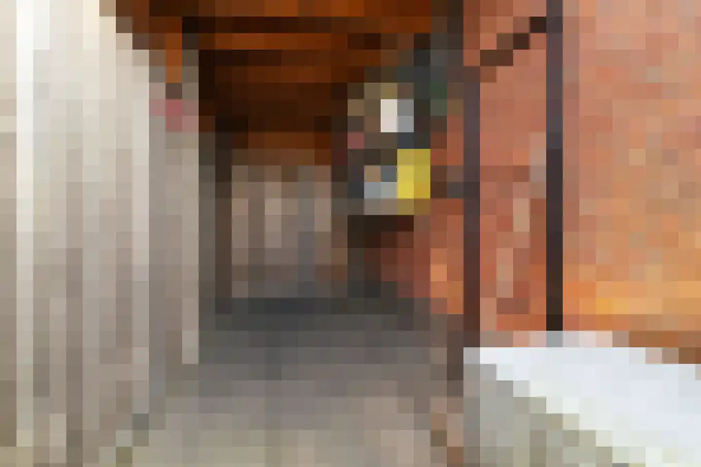 Sandwijck 5 Assendelft thumbnail 52