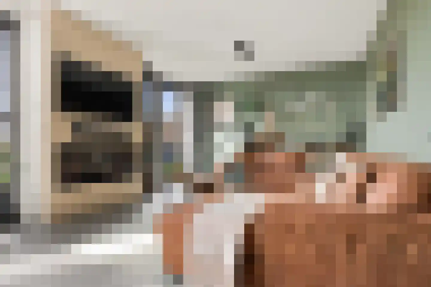 Sandwijck 5 Assendelft thumbnail 6