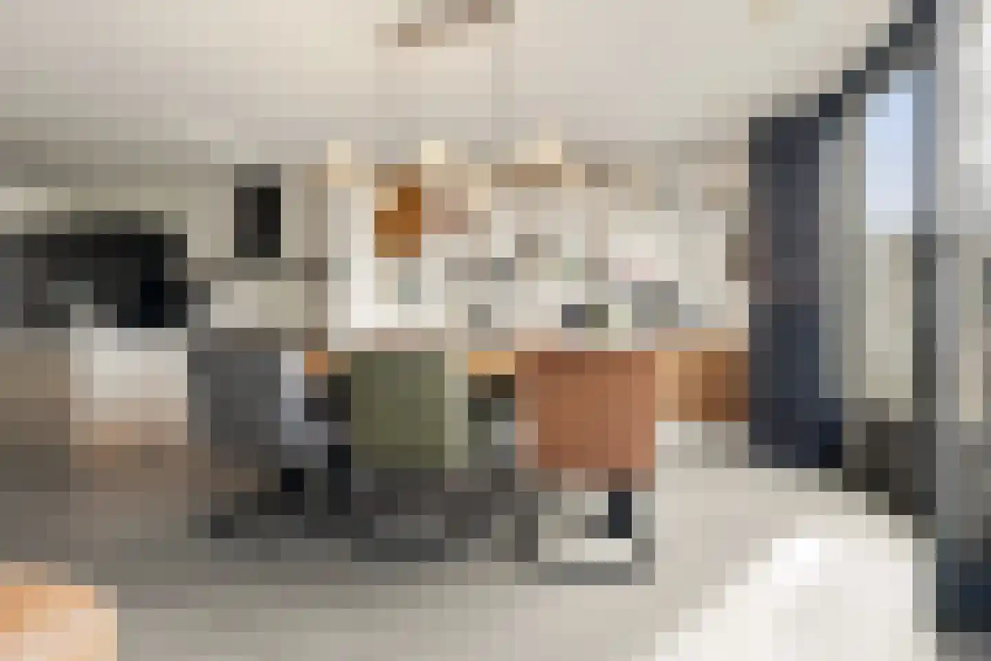 Sandwijck 5 Assendelft thumbnail 8