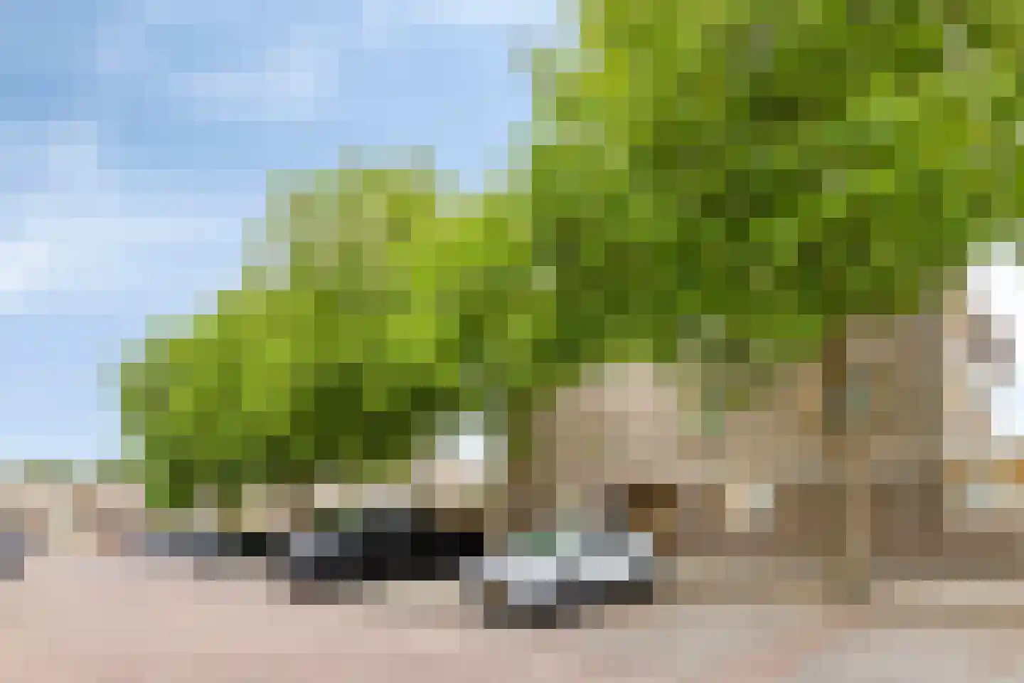 Sandwijk 13 Amsterdam thumbnail 44