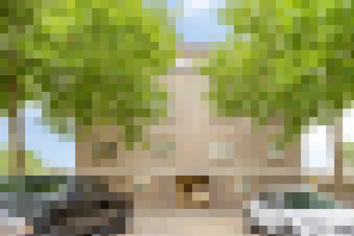 Sandwijk 13 Amsterdam thumbnail 45