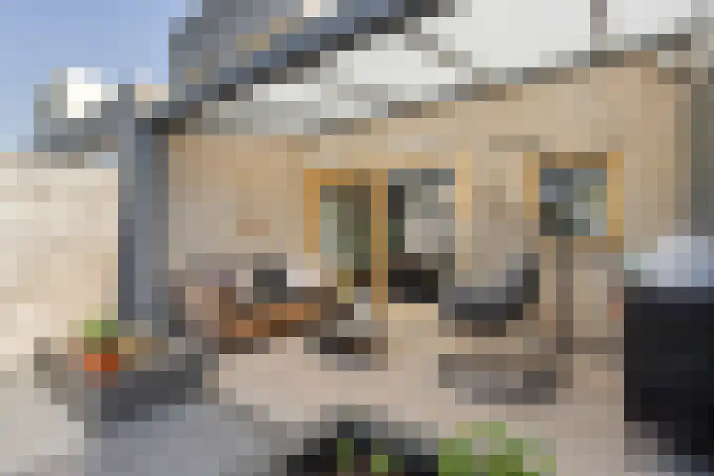 Sandwijk 14 Amsterdam thumbnail 7
