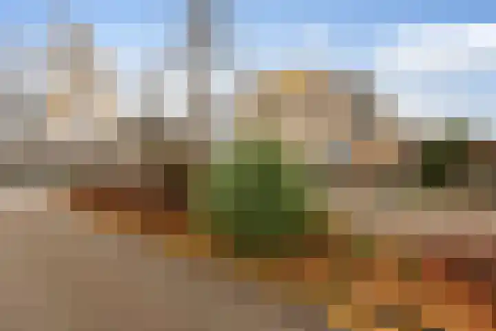 Sandwijk 42 Amsterdam thumbnail 36