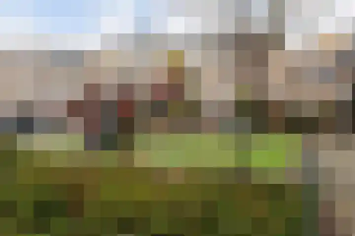 Sandwijk 42 Amsterdam thumbnail 37