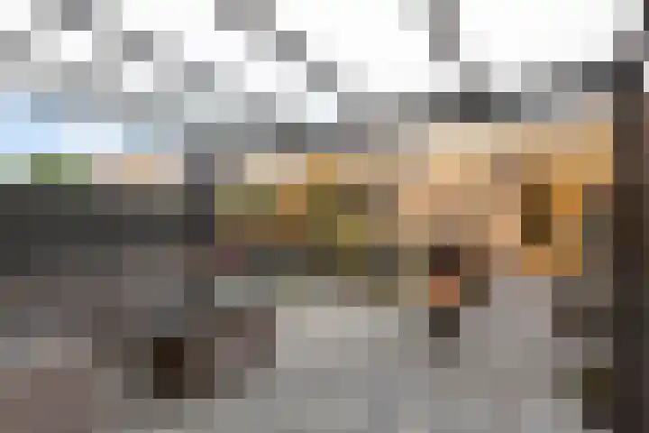 Sandwijk 42 Amsterdam thumbnail 7