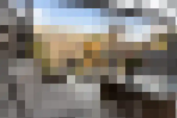 Sandwijk 42 Amsterdam thumbnail 8
