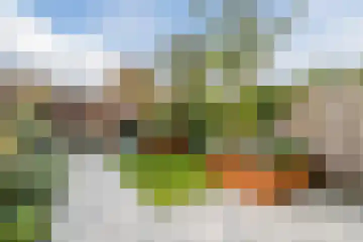 Sandwyck 10 Vleuten thumbnail 11