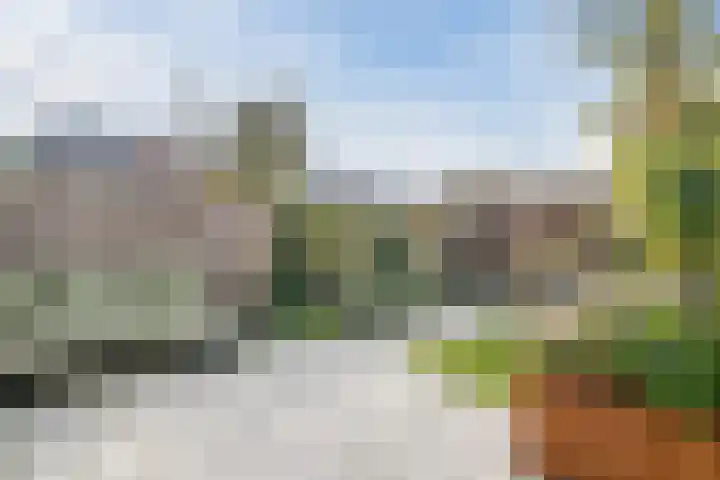Sandwyck 10 Vleuten thumbnail 12