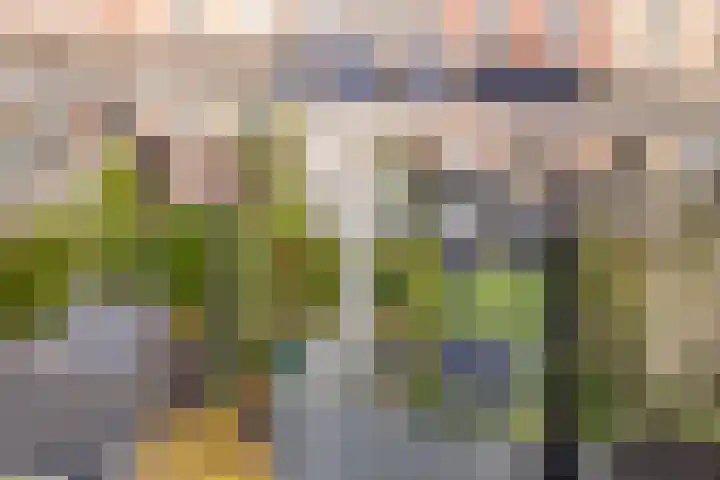 Sandwyck 10 Vleuten thumbnail 14