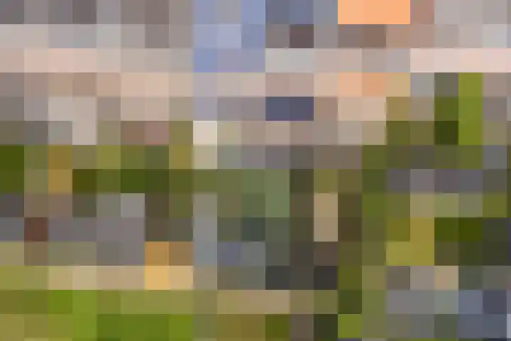 Sandwyck 10 Vleuten thumbnail 15