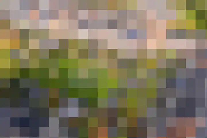 Sandwyck 10 Vleuten thumbnail 16