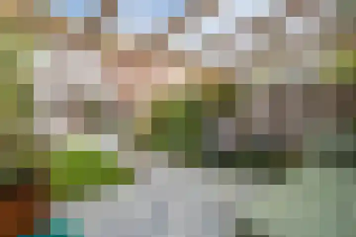 Sandwyck 10 Vleuten thumbnail 17