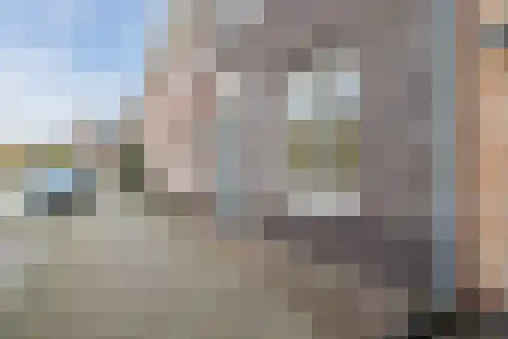 Sandwyck 10 Vleuten thumbnail 62