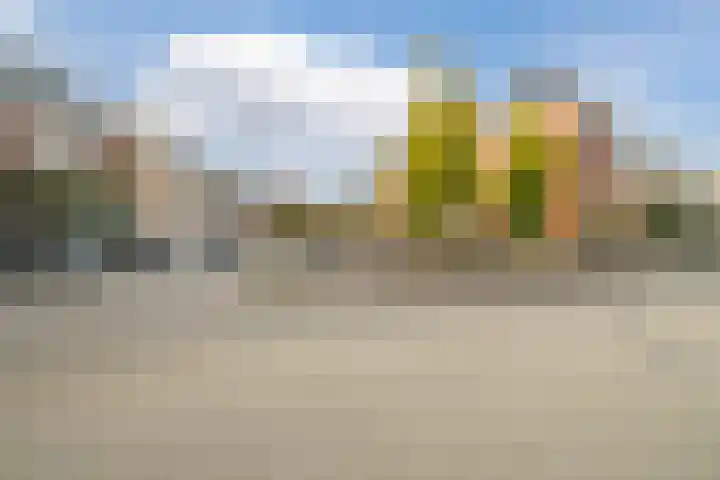 Sandwyck 10 Vleuten thumbnail 67