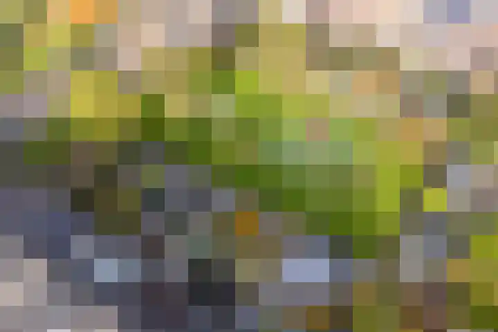 Sandwyck 10 Vleuten thumbnail 70