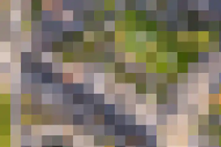 Sandwyck 10 Vleuten thumbnail 71