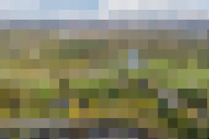 Sandwyck 10 Vleuten thumbnail 75