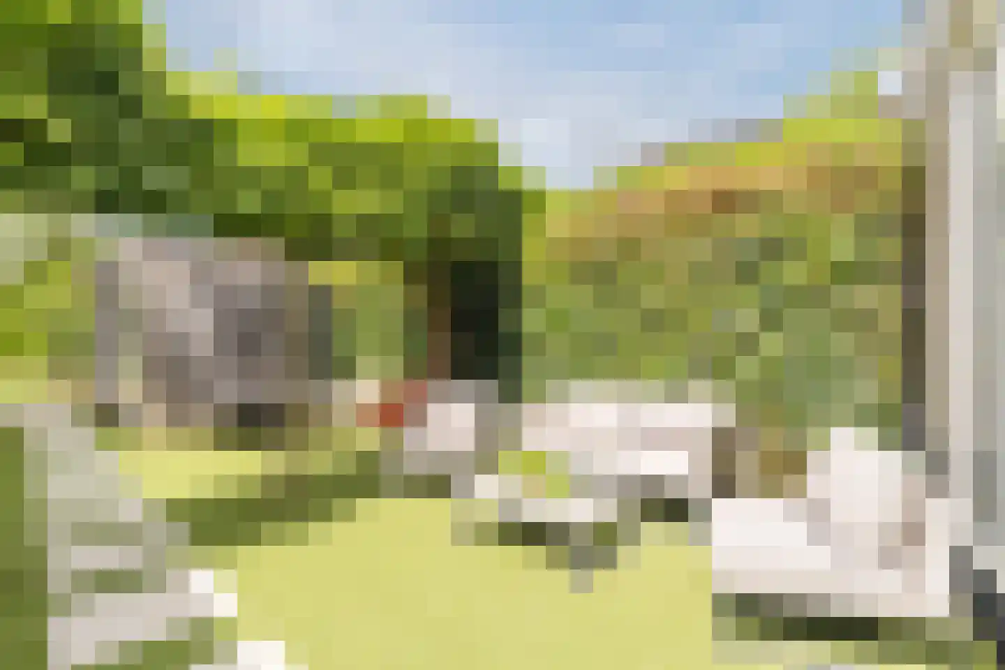 Sandwyck 28 Vleuten thumbnail 13