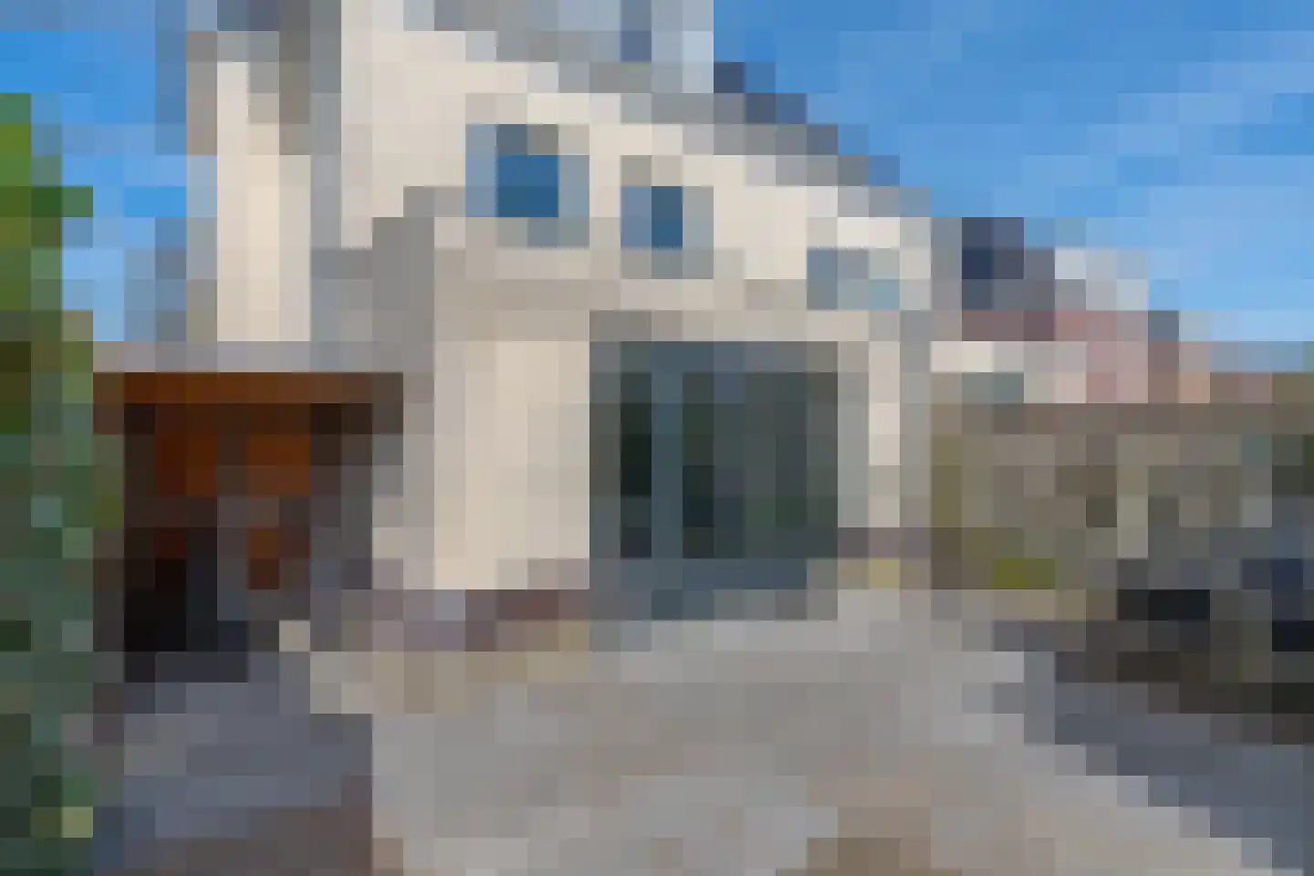 Sandwyck 29 Vleuten thumbnail 25
