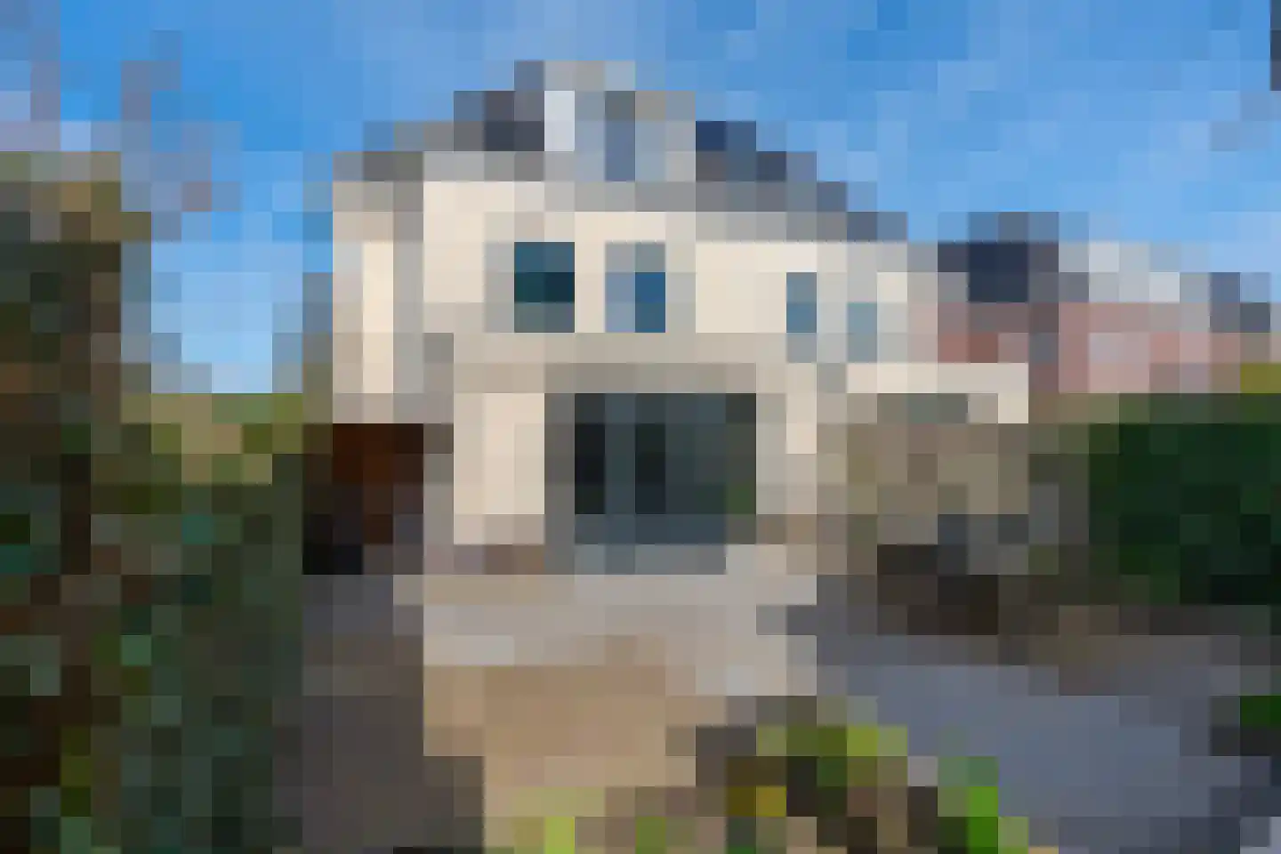 Sandwyck 29 Vleuten thumbnail 26