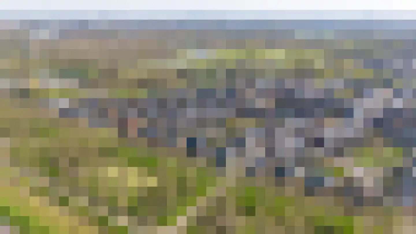 Sandwyck 29 Vleuten thumbnail 67
