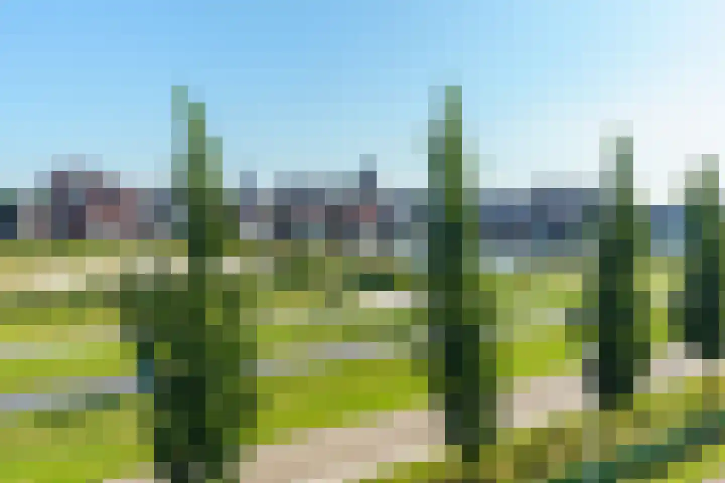 Sandwyck 29 Vleuten thumbnail 73