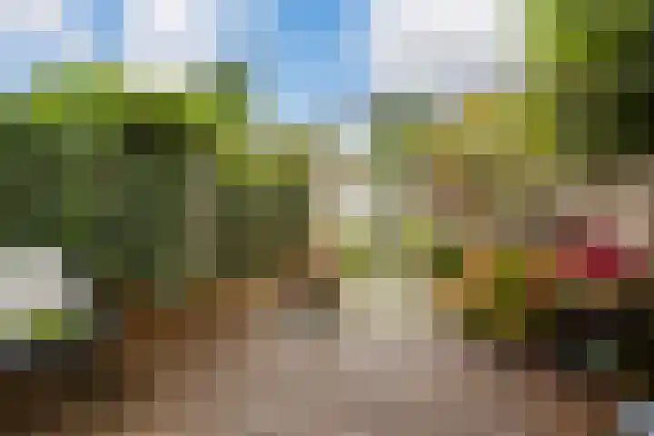 Sandwyck 30 Vleuten thumbnail 14