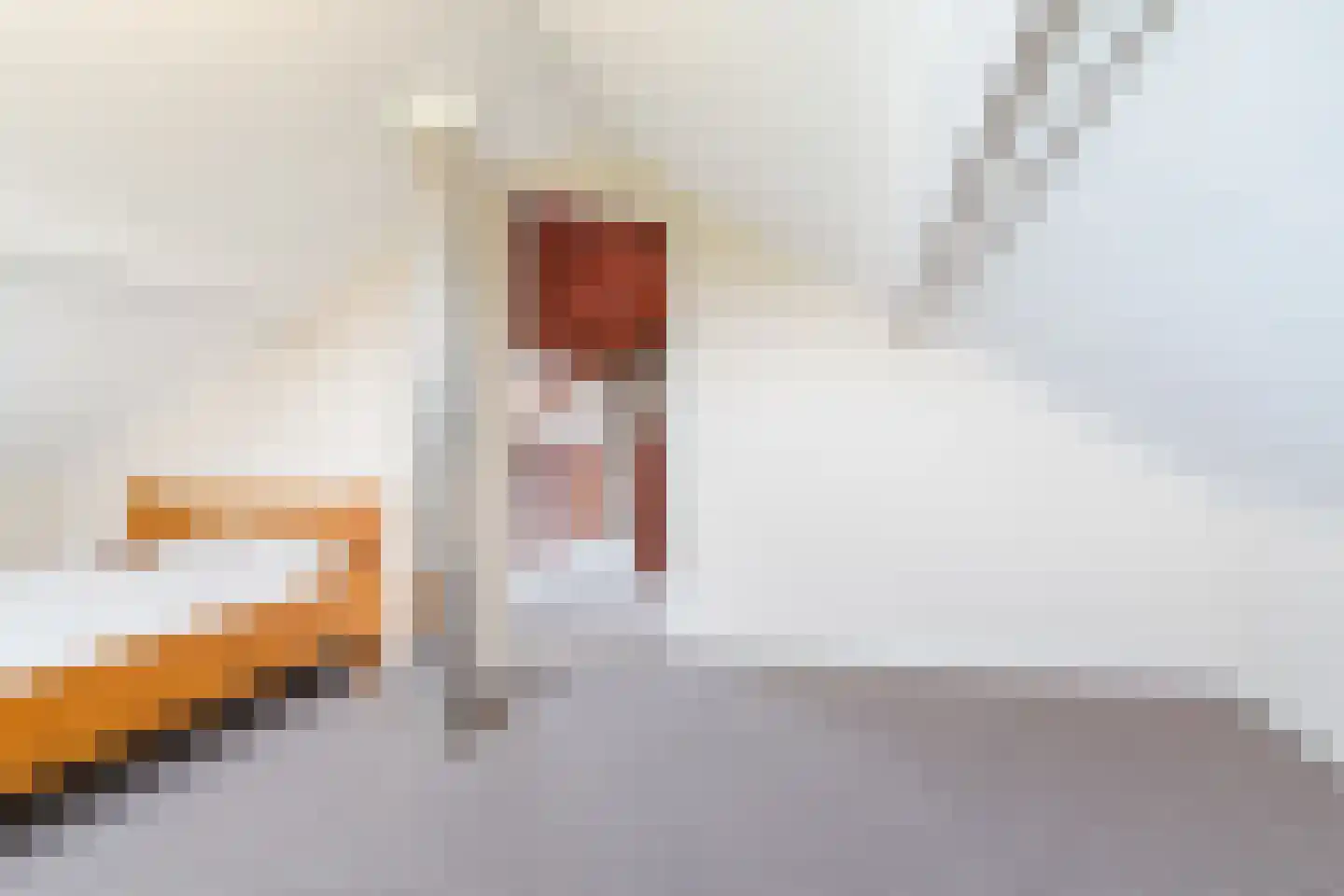 Saneringsweg 1 a Echteld thumbnail 33
