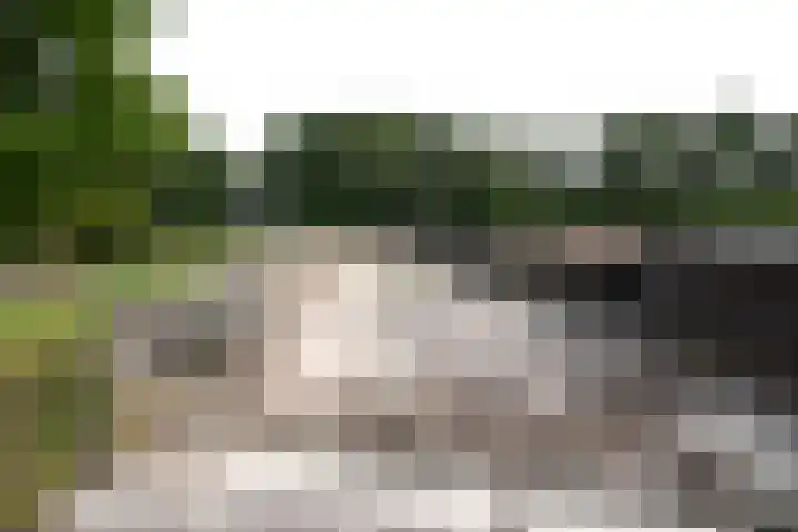 Sangeldijk 14 Holten thumbnail 101