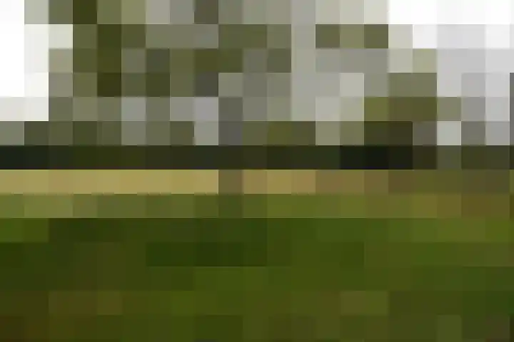 Sangeldijk 14 Holten thumbnail 107