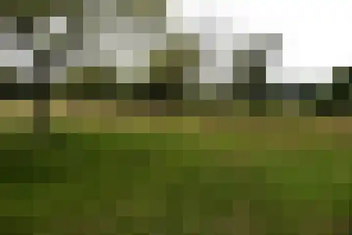 Sangeldijk 14 Holten thumbnail 108