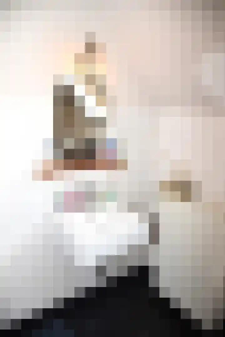 Sangeldijk 14 Holten thumbnail 34