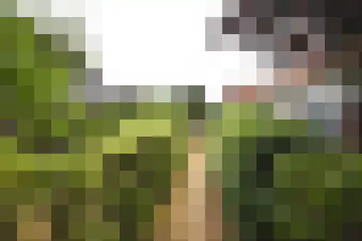 Sangeldijk 14 Holten thumbnail 39