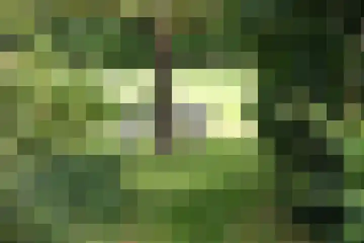 Sangeldijk 14 Holten thumbnail 57