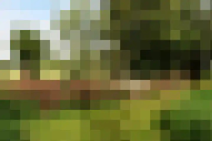 Sangeldijk 14 Holten thumbnail 63