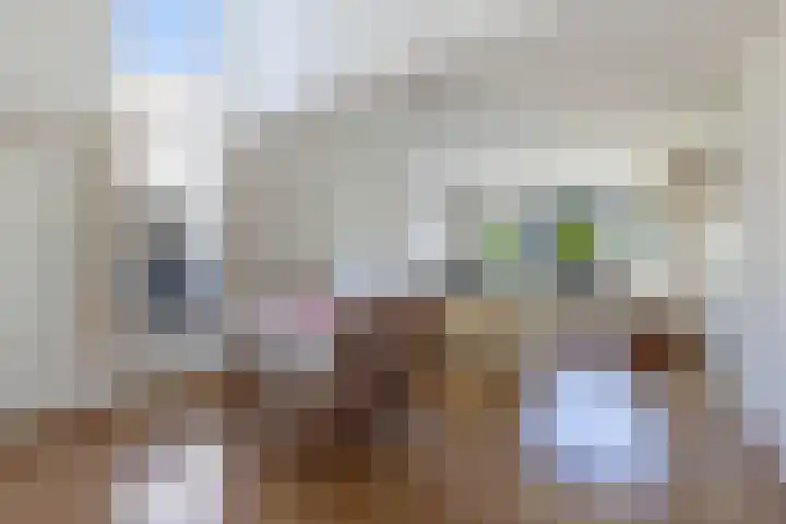 Sangerland 11 Steenwijk thumbnail 10