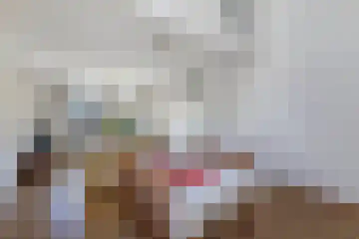 Sangerland 11 Steenwijk thumbnail 11