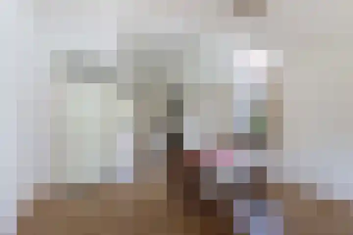Sangerland 11 Steenwijk thumbnail 13
