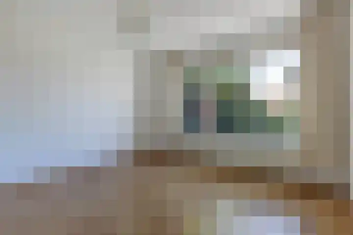 Sangerland 11 Steenwijk thumbnail 21
