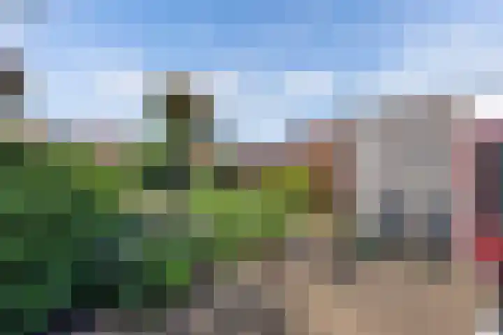 Sangerland 11 Steenwijk thumbnail 40