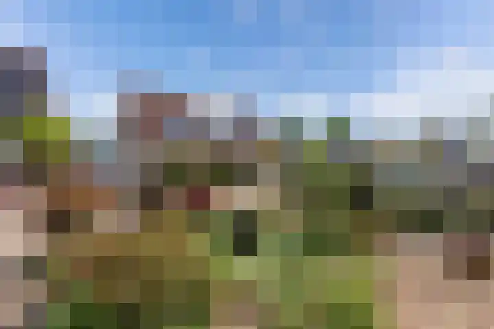 Sangerland 11 Steenwijk thumbnail 47