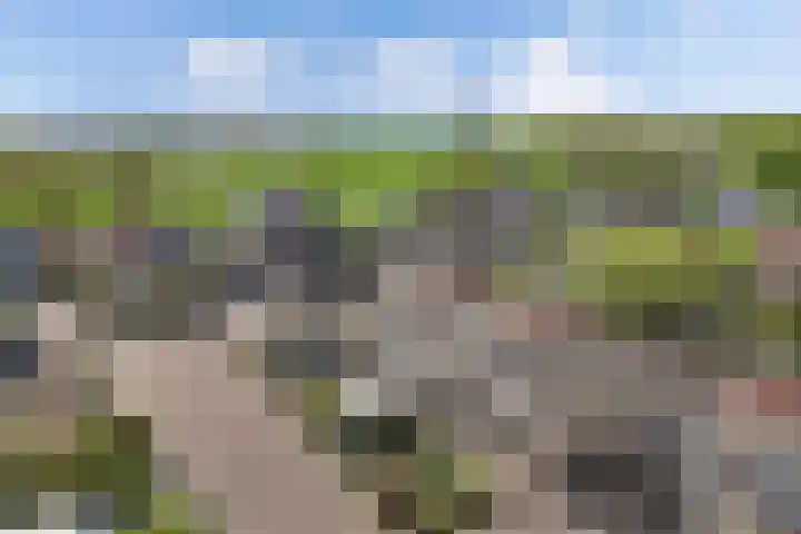 Sangerland 11 Steenwijk thumbnail 48