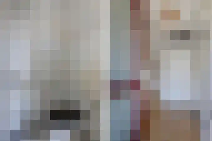 Sangerland 11 Steenwijk thumbnail 5