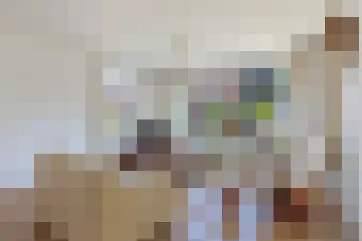 Sangerland 11 Steenwijk thumbnail 6